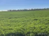 127 Mailey Road, West Ballidu, WA 6606-Image