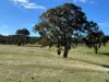 129 Yass Valley Way, Yass, NSW 2582-Image