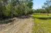 1295 Ellangowan Road, Ellangowan, NSW 2470-Image