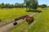 1295 Ellangowan Road, Ellangowan, NSW 2470-Image