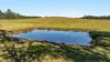 1295 Ellangowan Road, Ellangowan, NSW 2470-Image