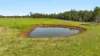 1295 Ellangowan Road, Ellangowan, NSW 2470-Image