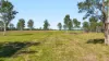 1295 Ellangowan Road, Ellangowan, NSW 2470-Image