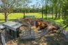 1295 Ellangowan Road, Ellangowan, NSW 2470-Image