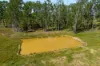 1295 Ellangowan Road, Ellangowan, NSW 2470-Image