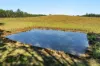 1295 Ellangowan Road, Ellangowan, NSW 2470-Image