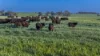 12R Quamby Road, Wongarbon, NSW 2831-Image