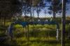 12R Quamby Road, Wongarbon, NSW 2831-Image
