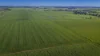 12R Quamby Road, Wongarbon, NSW 2831-Image