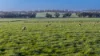 12R Quamby Road, Wongarbon, NSW 2831-Image