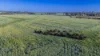 12R Quamby Road, Wongarbon, NSW 2831-Image