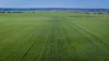 12R Quamby Road, Wongarbon, NSW 2831-Image
