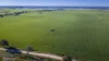 12R Quamby Road, Wongarbon, NSW 2831-Image