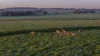 12R Quamby Road, Wongarbon, NSW 2831-Image