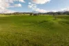 1307 Westbrook Road, Oberne Creek, NSW 2650-Image