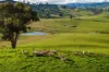 1307 Westbrook Road, Oberne Creek, NSW 2650-Image