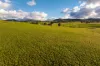 1307 Westbrook Road, Oberne Creek, NSW 2650-Image