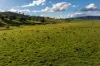 1307 Westbrook Road, Oberne Creek, NSW 2650-Image