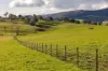 1307 Westbrook Road, Oberne Creek, NSW 2650-Image