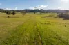 1307 Westbrook Road, Oberne Creek, NSW 2650-Image