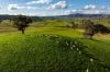 1307 Westbrook Road, Oberne Creek, NSW 2650-Image