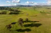 1307 Westbrook Road, Oberne Creek, NSW 2650-Image
