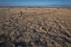 1310 Humbug Road, The Gums, Qld 4406-Image