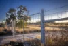 1310 Humbug Road, The Gums, Qld 4406-Image
