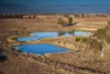 1310 Humbug Road, The Gums, Qld 4406-Image