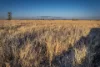 1310 Humbug Road, The Gums, Qld 4406-Image