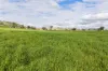1315 Bungowannah Road, Bungowannah, NSW 2640-Image