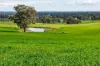 1315 Bungowannah Road, Bungowannah, NSW 2640-Image