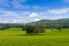 1315 Bungowannah Road, Bungowannah, NSW 2640-Image
