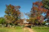 1315 Bungowannah Road, Bungowannah, NSW 2640-Image