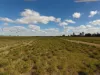 1321 Koondrook Murrabit Road, Myall VIC 3579-Image