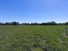 1321 Koondrook Murrabit Road, Myall VIC 3579-Image