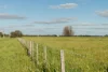 1321 Koondrook Murrabit Road, Myall VIC 3579-Image