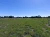 1321 Koondrook Murrabit Road, Myall VIC 3579-Image