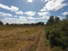 1321 Koondrook Murrabit Road, Myall VIC 3579-Image