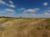 1321 Koondrook Murrabit Road, Myall VIC 3579-Image