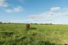 1321 Koondrook Murrabit Road, Myall VIC 3579-Image