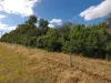 1321 Koondrook Murrabit Road, Myall VIC 3579-Image