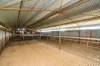 1329 Berthong Road, Young, NSW 2594-Image