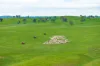 1329 Berthong Road, Young, NSW 2594-Image