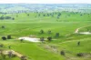 1329 Berthong Road, Young, NSW 2594-Image