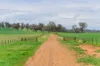 1329 Berthong Road, Young, NSW 2594-Image