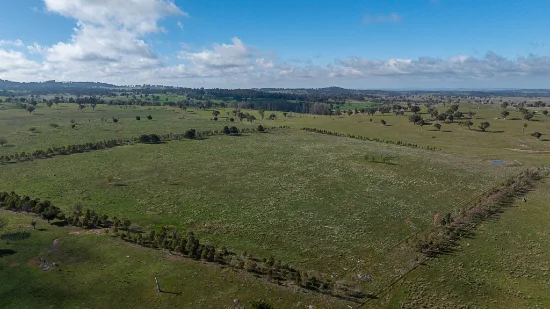 133 Bellbrook East Road, Armidale NSW 2350-Image