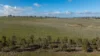 133 Bellbrook East Road, Armidale NSW 2350-Image
