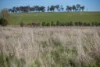 133 Bellbrook East Road, Armidale NSW 2350-Image