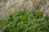 133 Bellbrook East Road, Armidale NSW 2350-Image